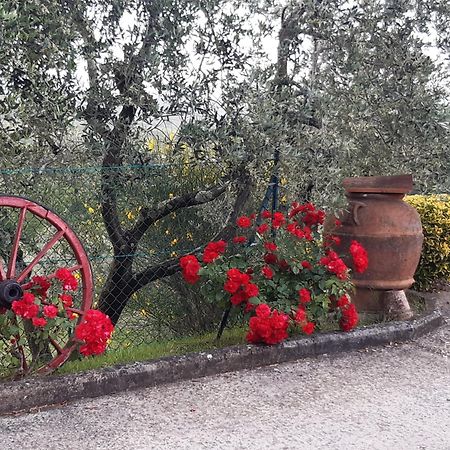 B&B I Coppi San Gimignano Exterior photo