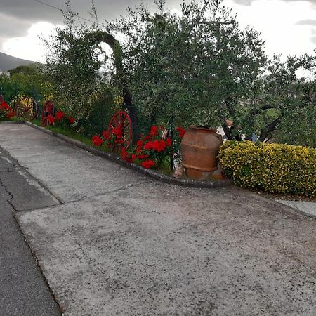 B&B I Coppi San Gimignano Exterior photo