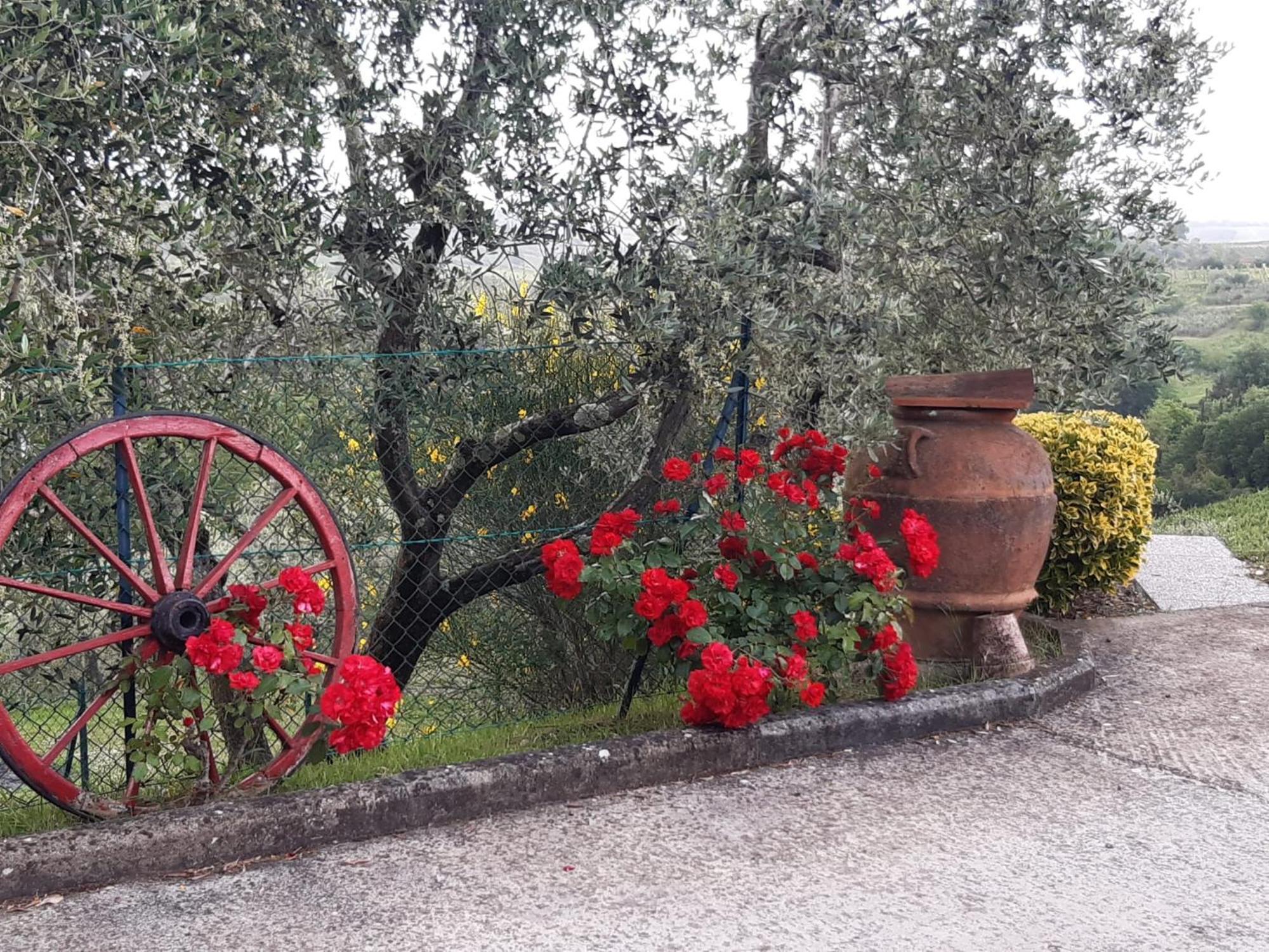 B&B I Coppi San Gimignano Exterior photo