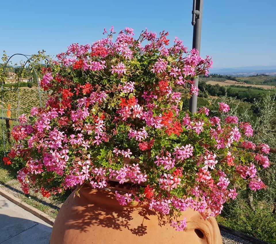 B&B I Coppi San Gimignano Exterior photo