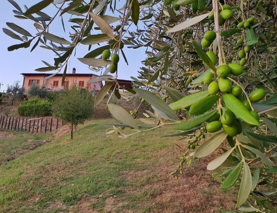 B&B I Coppi San Gimignano Exterior photo